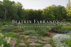 BF-American-Landscapes virtual program