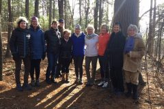 A Walk in Bear Garden Hill woods